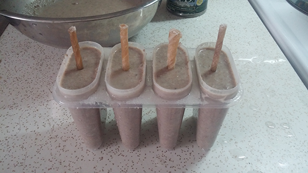 Healthy Homemade DIY Dog Popsicles how to make dog popsicles