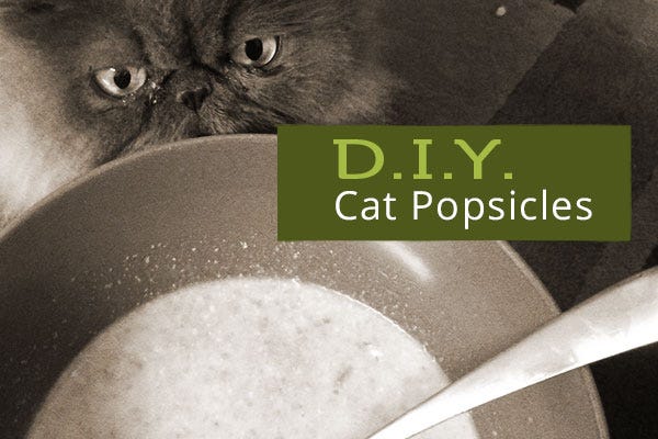 Cat Popsicles