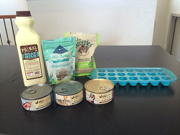 Ingredients for Homemade Cat Popsicles What you’ll need