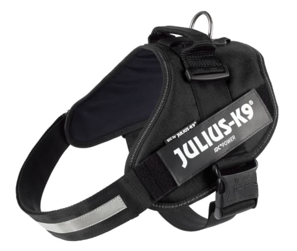 Julius-k9-harness