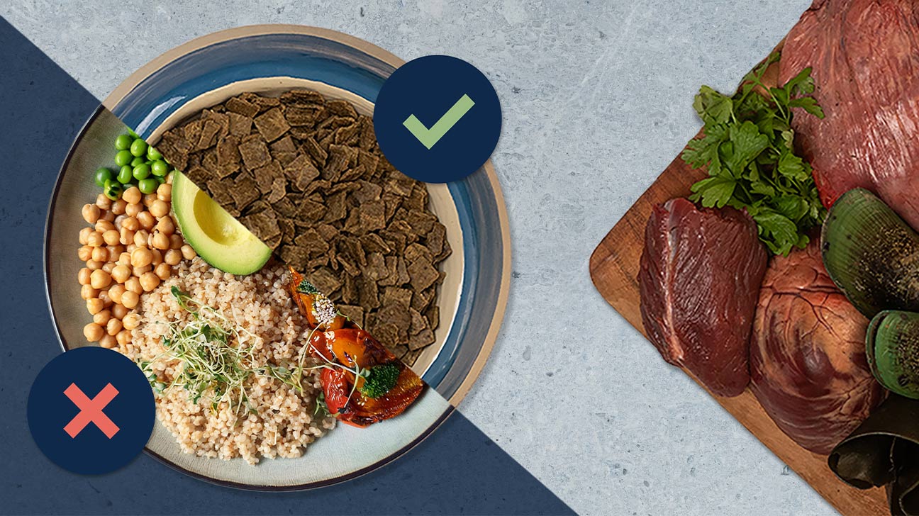 your-plate-vs-their-bowl