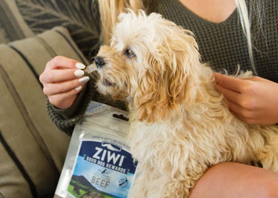 ziwi-peak-dog-treats