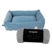 Beds & Blankets