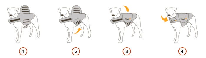 Thundershirt Instructions