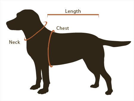 Dog Sizing Diagram