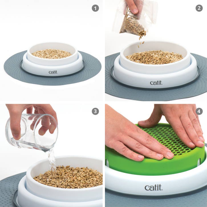 Catit Senses 2.0 Cat Grass Planter Directions